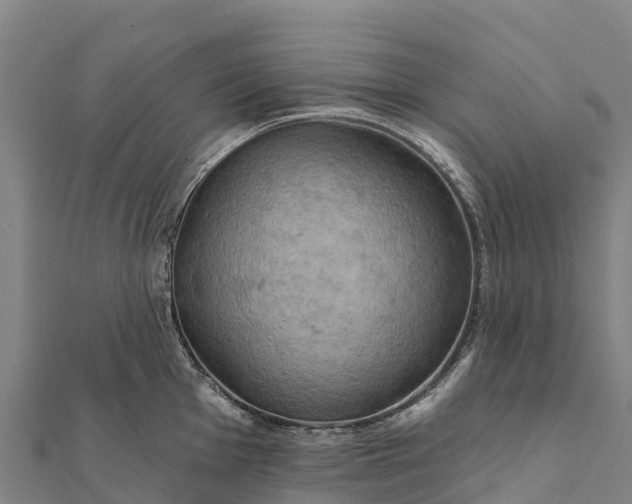 X0000112101001200908181321