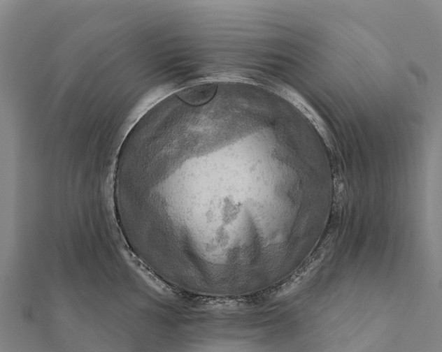 X0000112101002200908181321