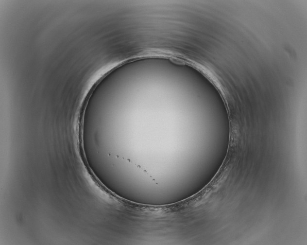 X0000112101003200908181321