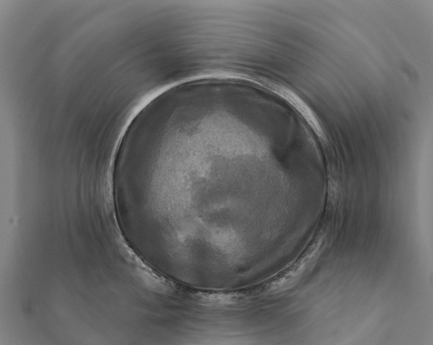 X0000112101004200908181321