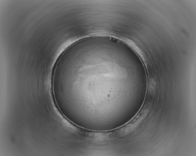 X0000112101005200908181321