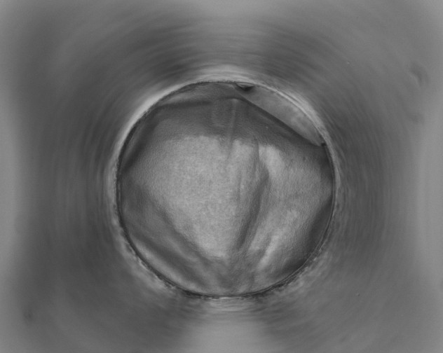 X0000112101008200908181321