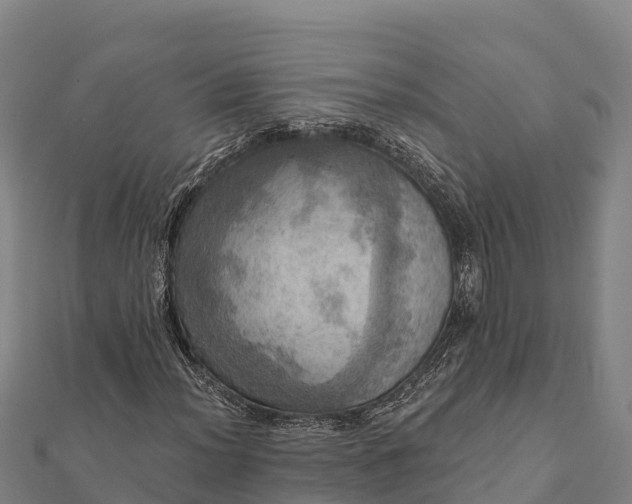 X0000112101012200908181321