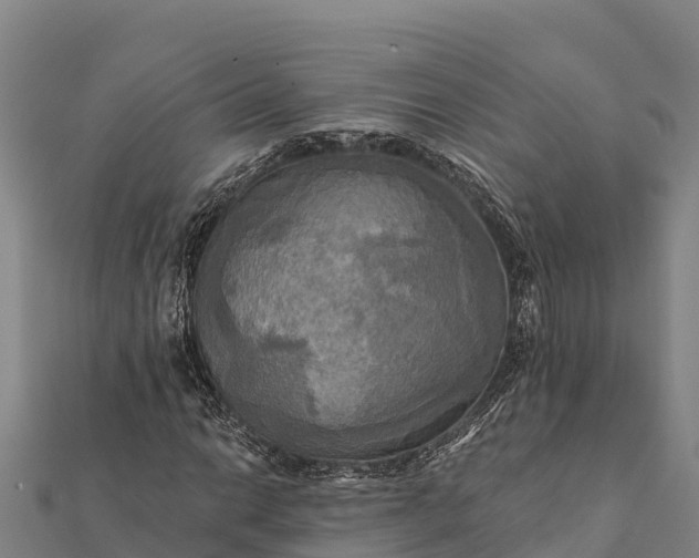 X0000112101014200908181321