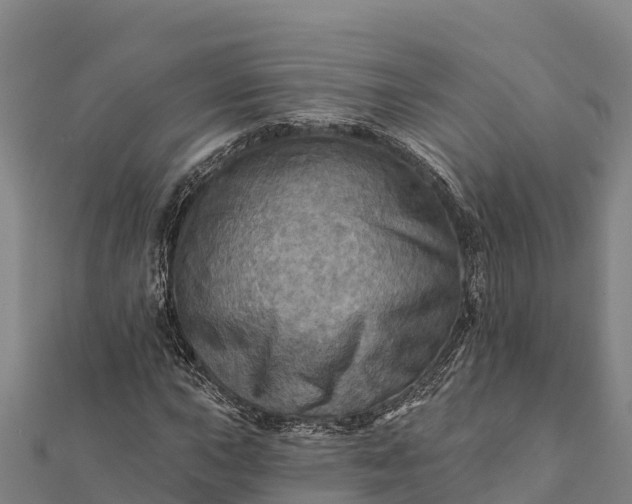 X0000112101015200908181321