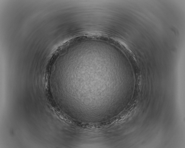 X0000112101016200908181321