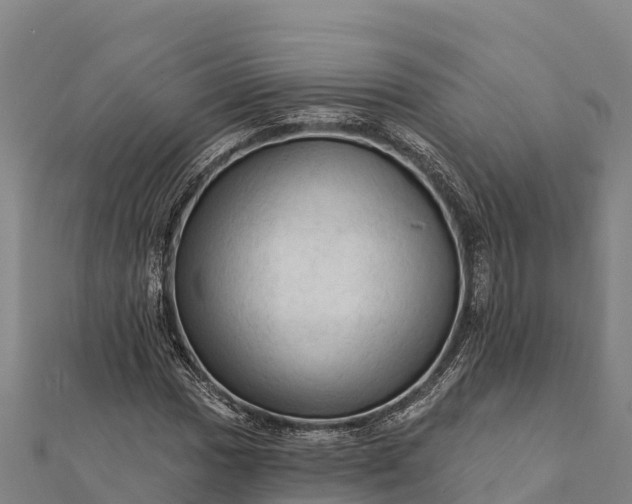 X0000112101017200908181321