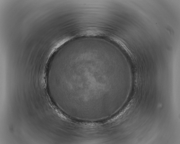 X0000112101018200908181321