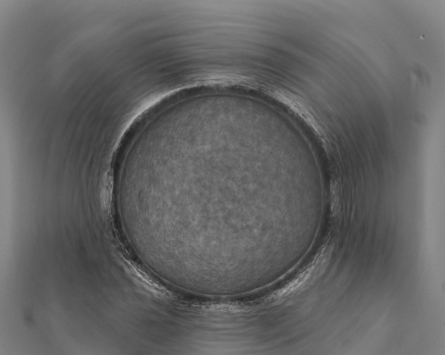 X0000112101021200908181321
