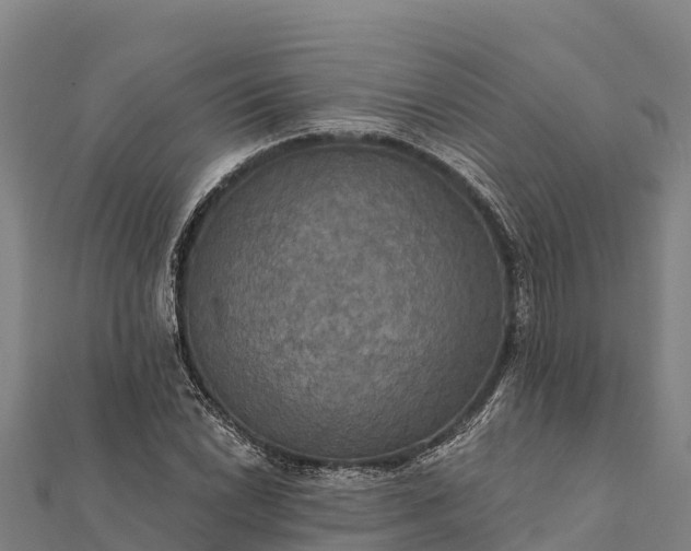X0000112101022200908181321