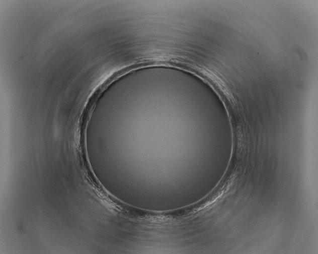 X0000112101023200908181321