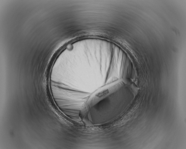 X0000112101024200908181321