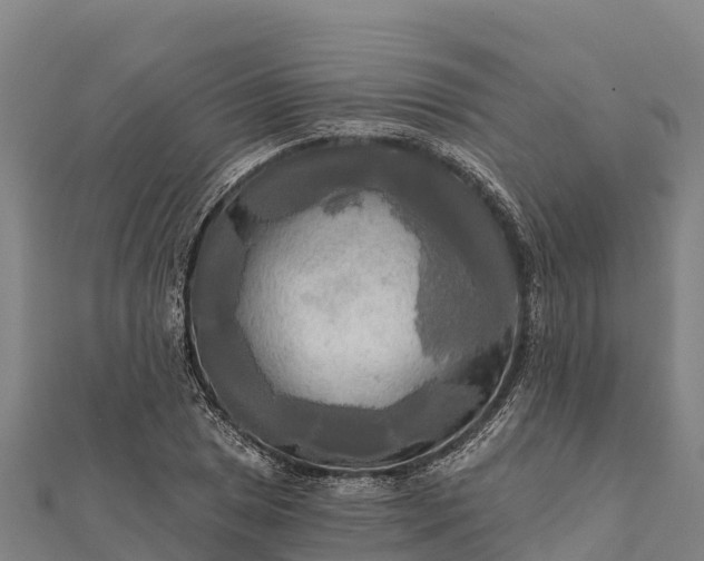 X0000112101025200908181321