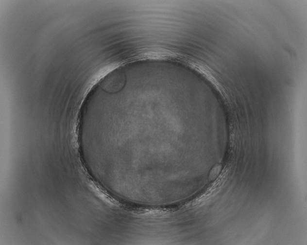 X0000112101026200908181321