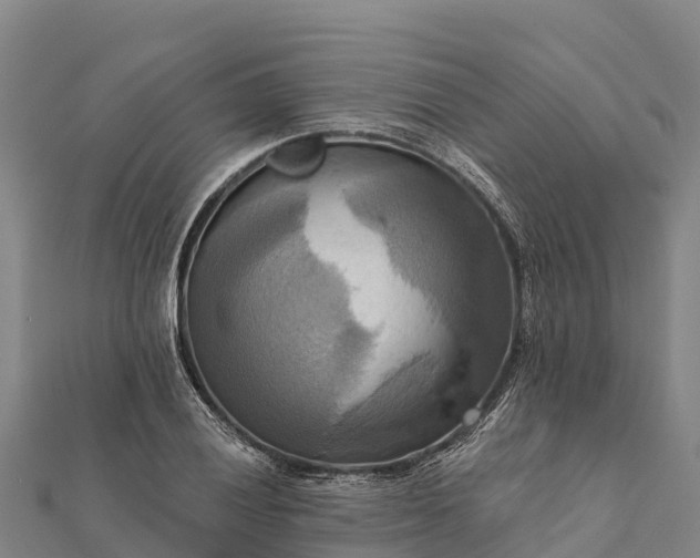 X0000112101028200908181321