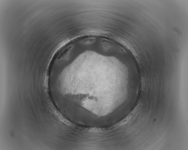 X0000112101029200908181321