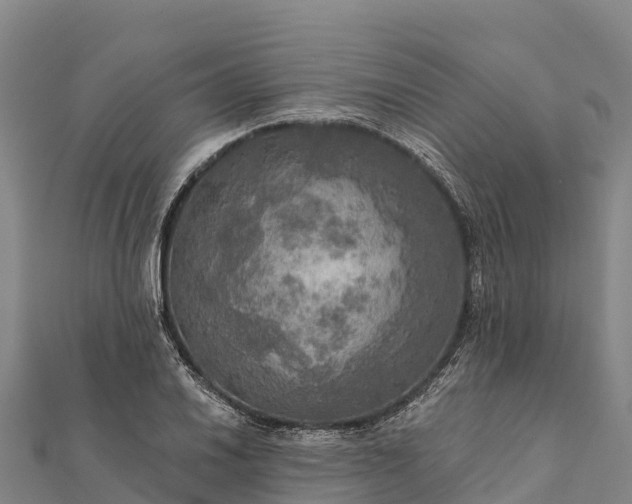 X0000112101030200908181321