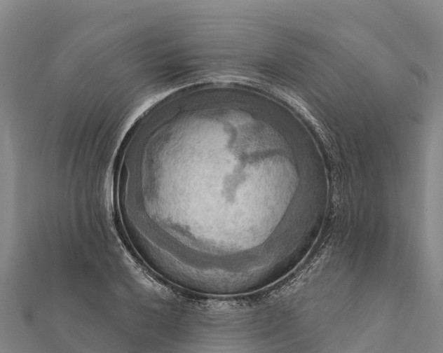 X0000112101032200908181321