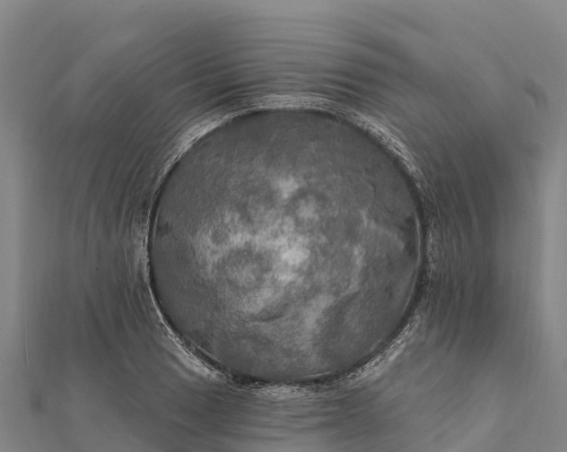 X0000112101033200908181321