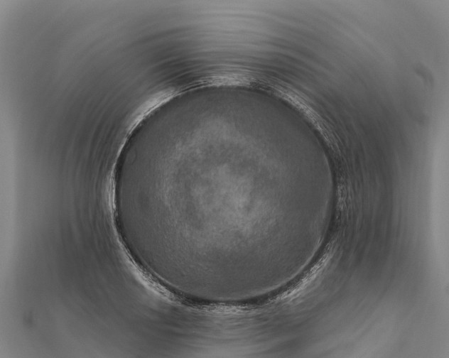 X0000112101034200908181321