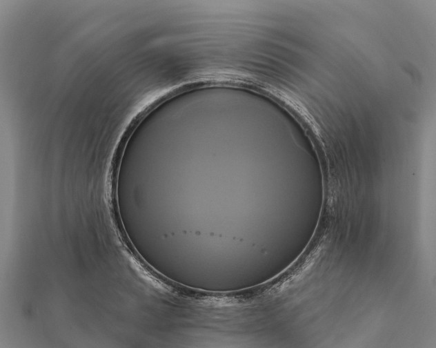 X0000112101037200908181321