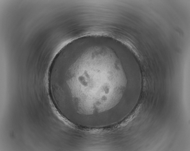 X0000112101038200908181321
