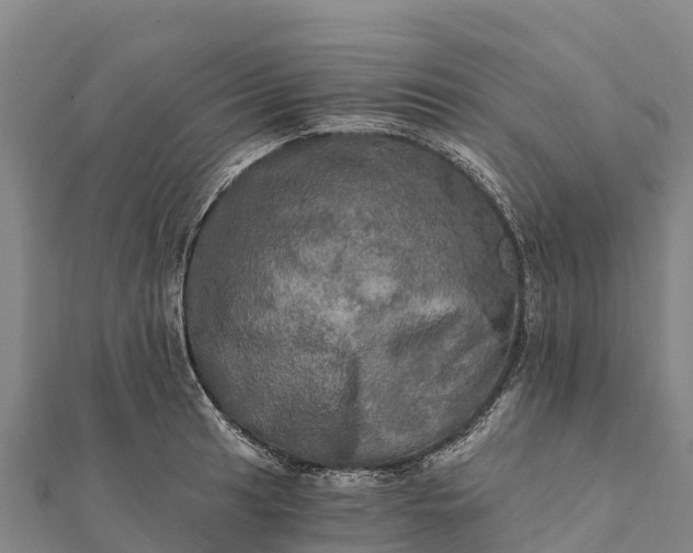 X0000112101041200908181321