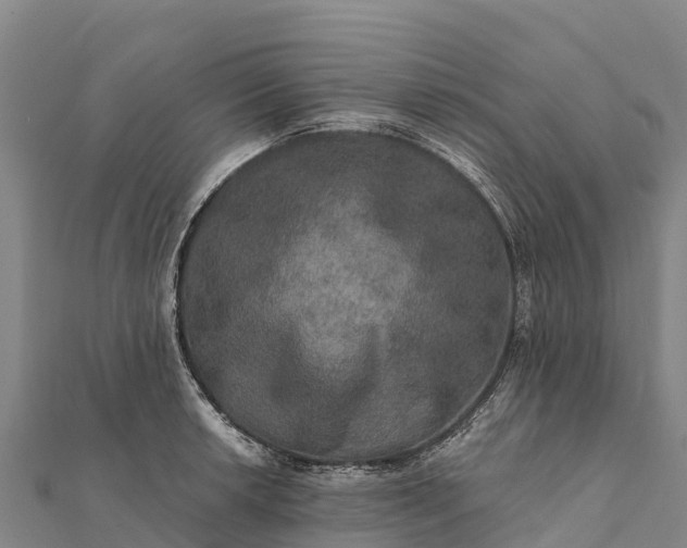 X0000112101042200908181321