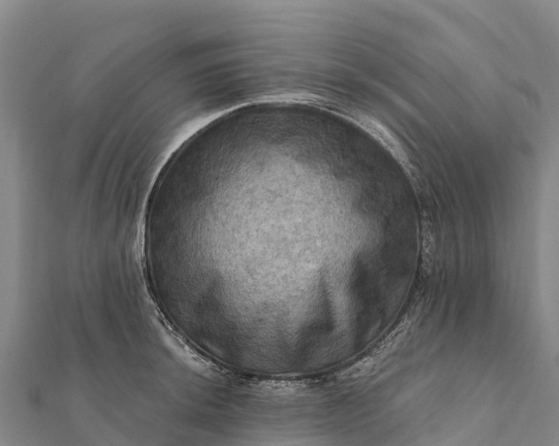 X0000112101044200908181321