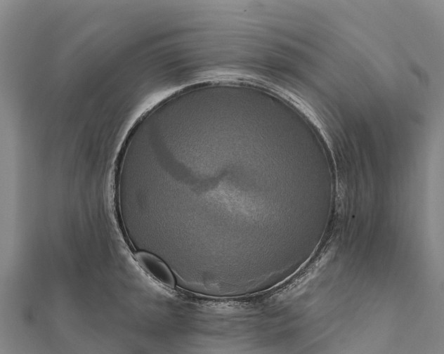 X0000112101045200908181321