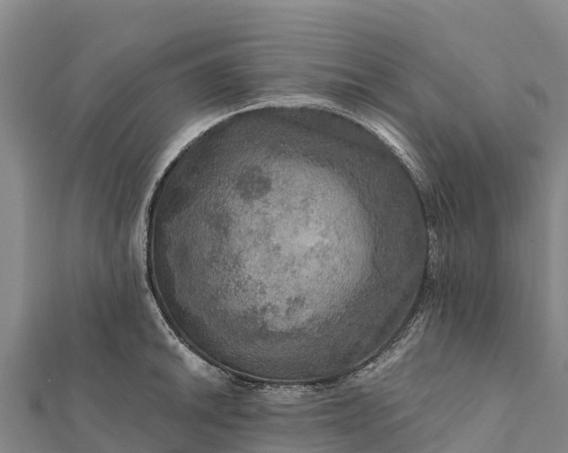 X0000112101046200908181321
