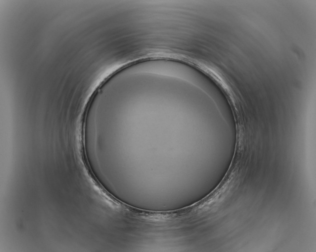X0000112101048200908181321