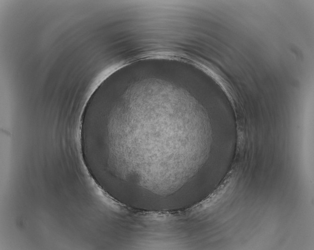 X0000112101050200908181321