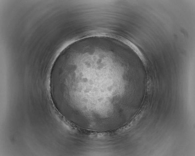 X0000112101051200908181321