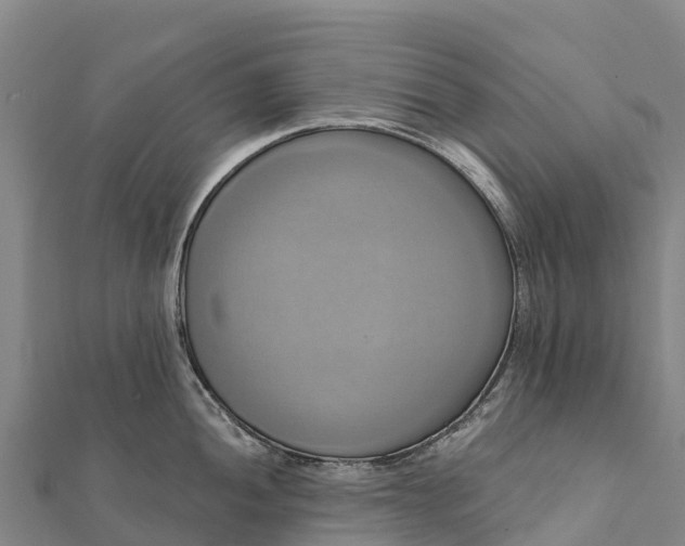X0000112101052200908181321
