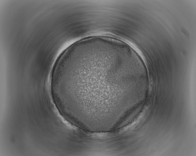 X0000112101053200908181321
