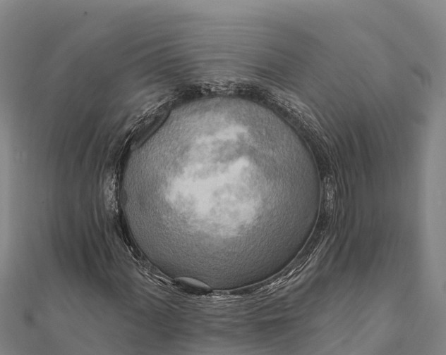 X0000112101060200908181321