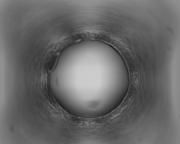 X0000112101061200908181321