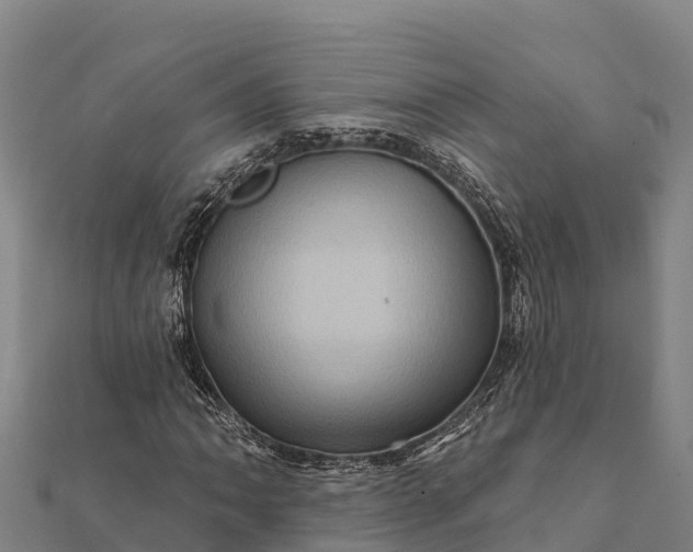 X0000112101062200908181321