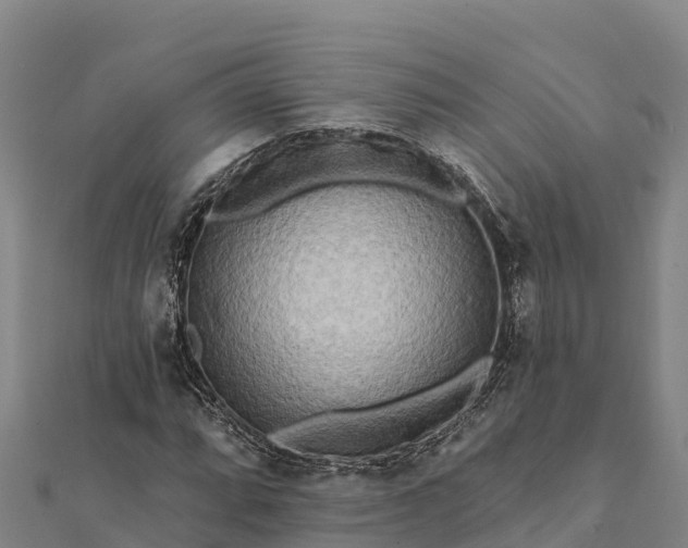 X0000112101064200908181321
