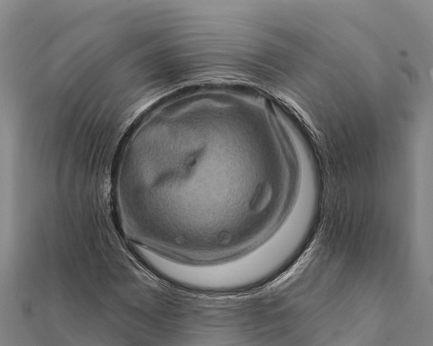 X0000112101065200908181320