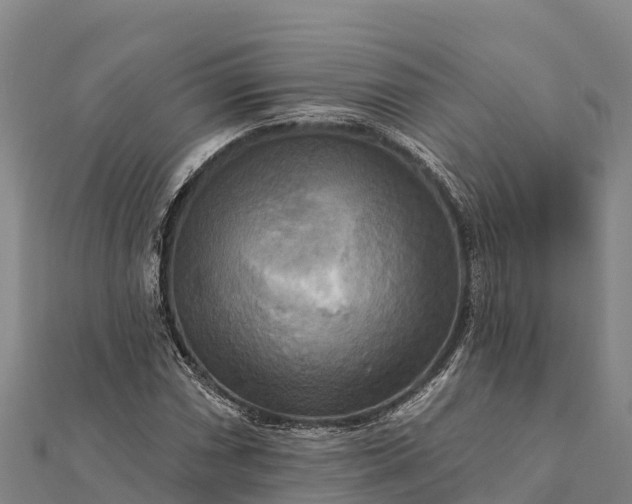 X0000112101066200908181320
