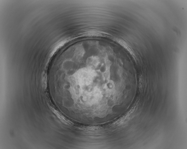 X0000112101067200908181320