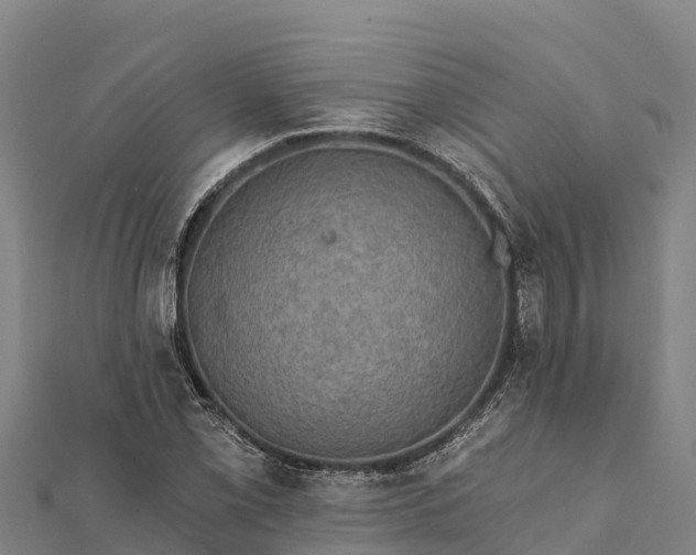 X0000112101069200908181320
