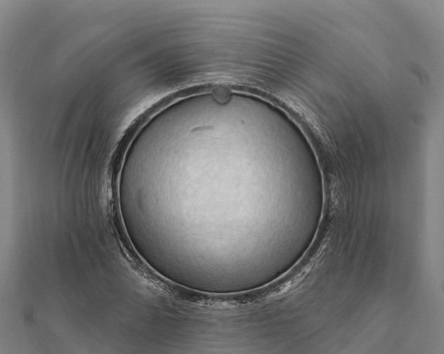 X0000112101070200908181320