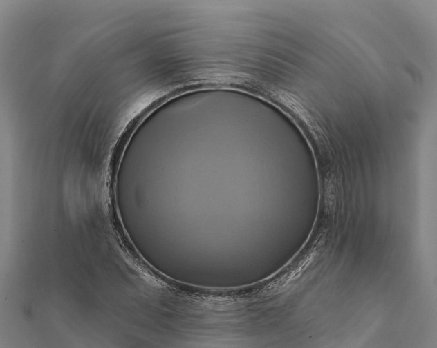 X0000112101071200908181320