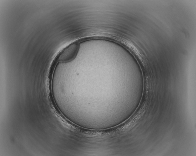 X0000112101072200908181320
