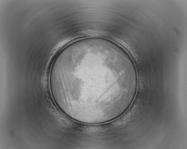 X0000112101074200908181320