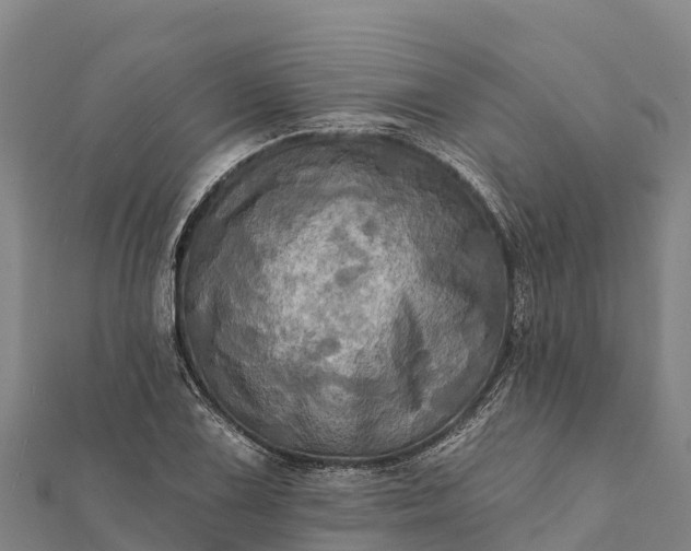 X0000112101075200908181320