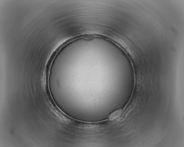 X0000112101076200908181320